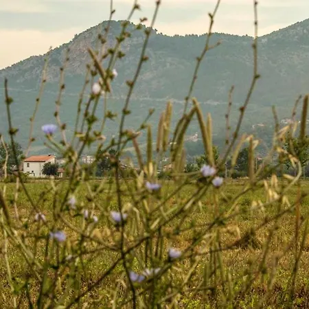 3 Bedrooms House With Furnished Garden At Paestum 6 Km Away From The Holiday home Capaccio
